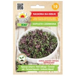 Kapusta Czerwona nasiona na kiełki 10 g - Toraf