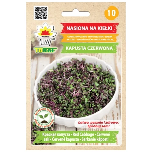 Kapusta Czerwona nasiona na kiełki 10 g - Toraf