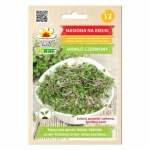 Jarmuż Czerwony nasiona na kiełki 10 g - Toraf