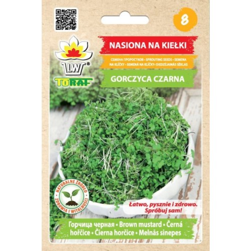 Gorczyca Czarna nasiona na kiełki 20 g - Toraf