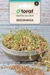 Soczewica nasiona na kiełki 20 g - Toraf