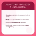 Antyperspirant bloker 50 ml - Sylveco Pure Line