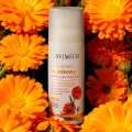 Lekki krem nagietkowy 50 ml - Sylveco