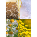 Trwała farba do włosów 5.8 jasny tabakowy kasztan - FlowerTint