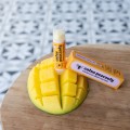 Pomadka ochronna do ust Całus Pszczoły 5 ml - Pasieki Rodziny Sadowskich