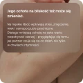 Libido men plus 60 kapsułek - ForMeds Female Formula