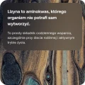 Bicaps Lysine lizyna 60 kapsułek - ForMeds