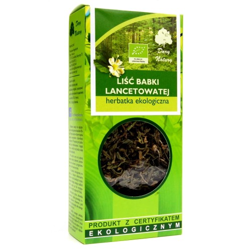 Babka lancetowata liść EKO 25 g - Dary Natury