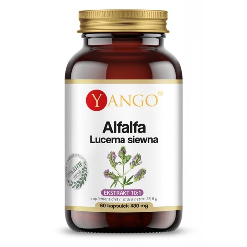 Alfalfa Lucerna siewna 60 kapsułek roślinnych - Yango