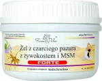 Żel czarci pazur z żywokostem i MSM FORTE 350 ml - Farm-Vix