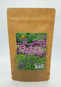 Sadziec purpurowy korzeń cięty 50 g - Proherbis