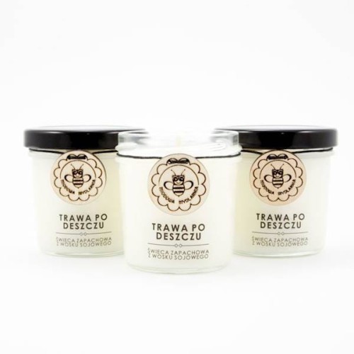 Trawa Po Deszczu - świeca z wosku sojowego 120 ml - Miodowa Mydlarnia