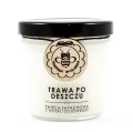 Trawa Po Deszczu - świeca z wosku sojowego 120 ml - Miodowa Mydlarnia